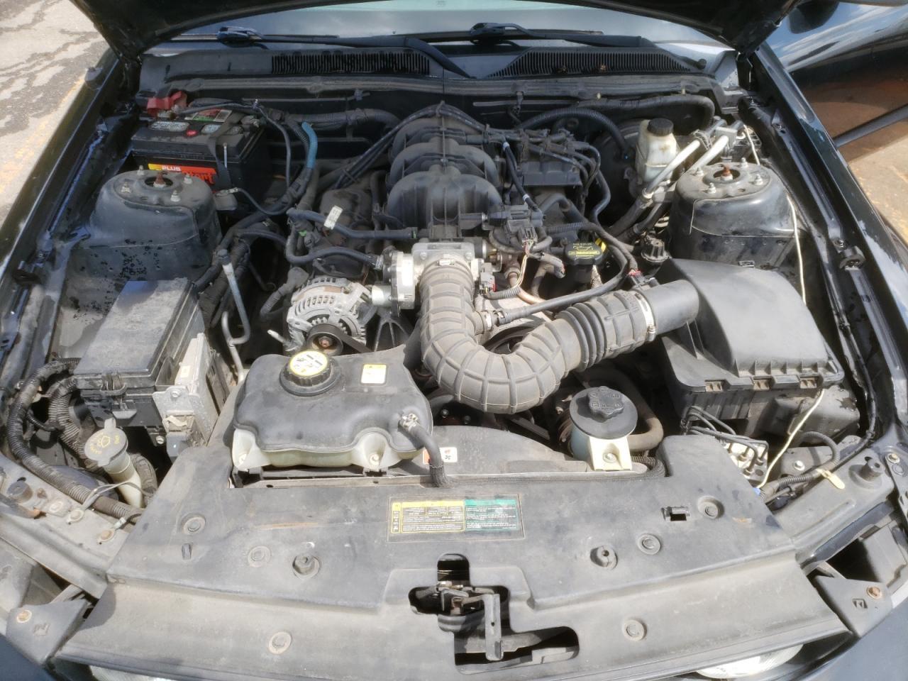 2009 Ford Mustang - Фото 7