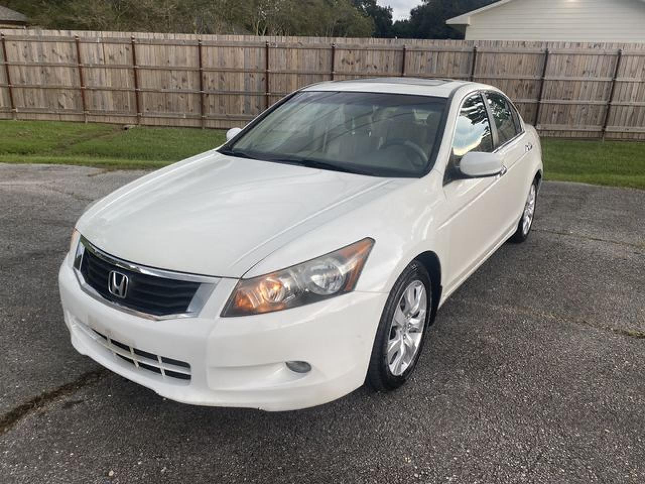 2009 Honda Accord Exl - Фото 2