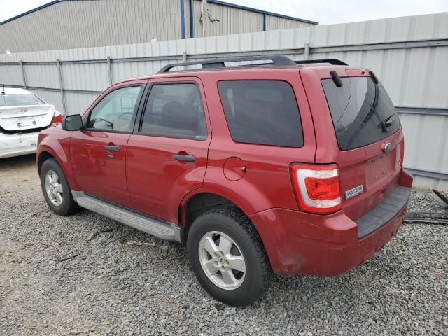 2010 FORD ESCAPE XLT - Image 2