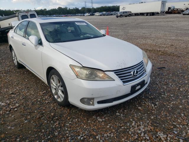 2010 LEXUS ES 250 car image