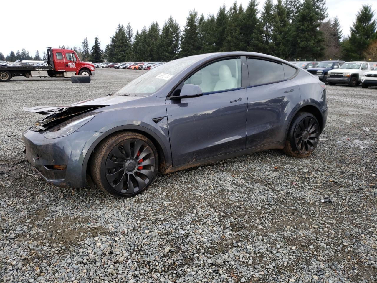 2023 TESLA MODEL Y