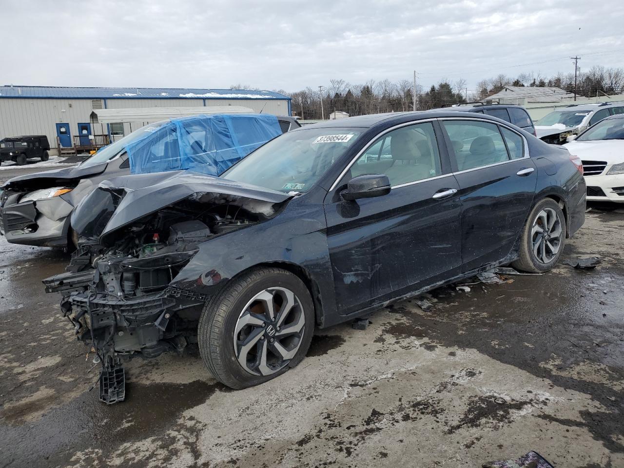2016 HONDA ACCORD EXL