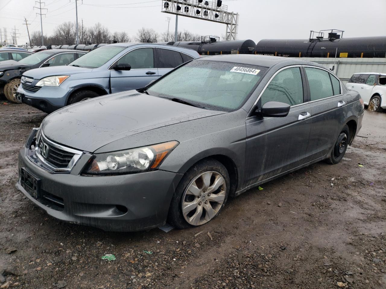 2010 HONDA ACCORD EXL car image