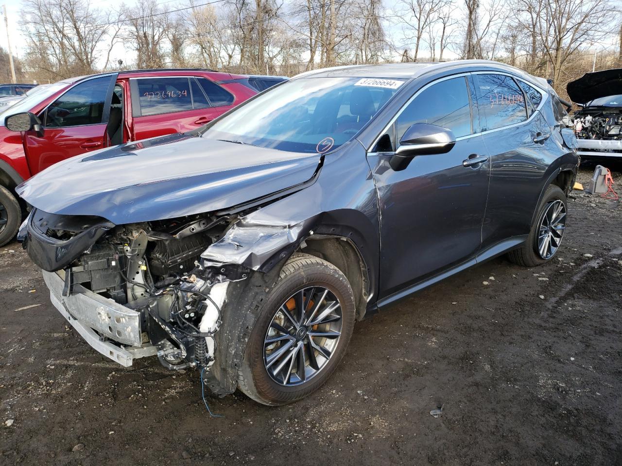 2023 LEXUS NX 350H car image