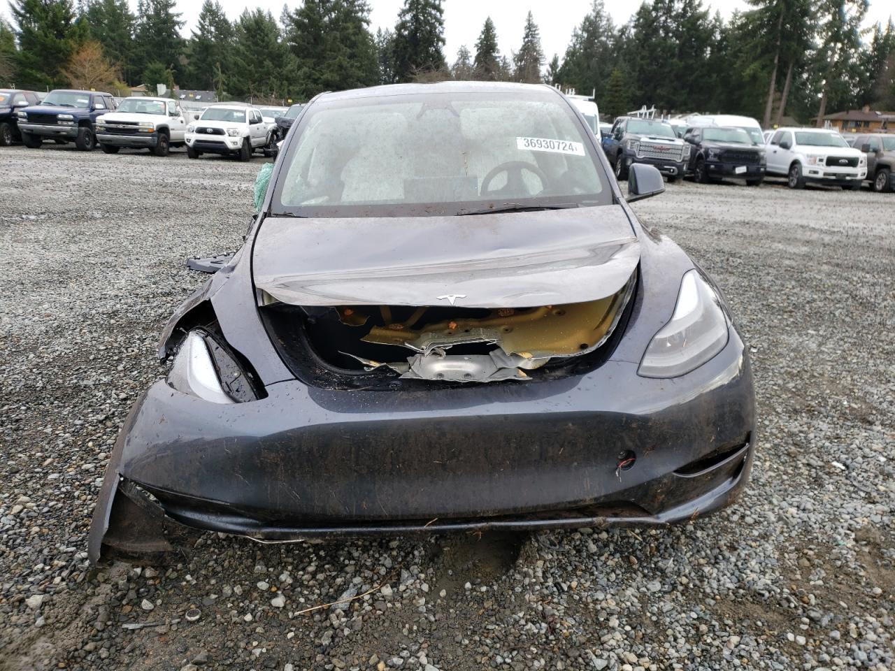 2023 TESLA MODEL Y - Фото 5