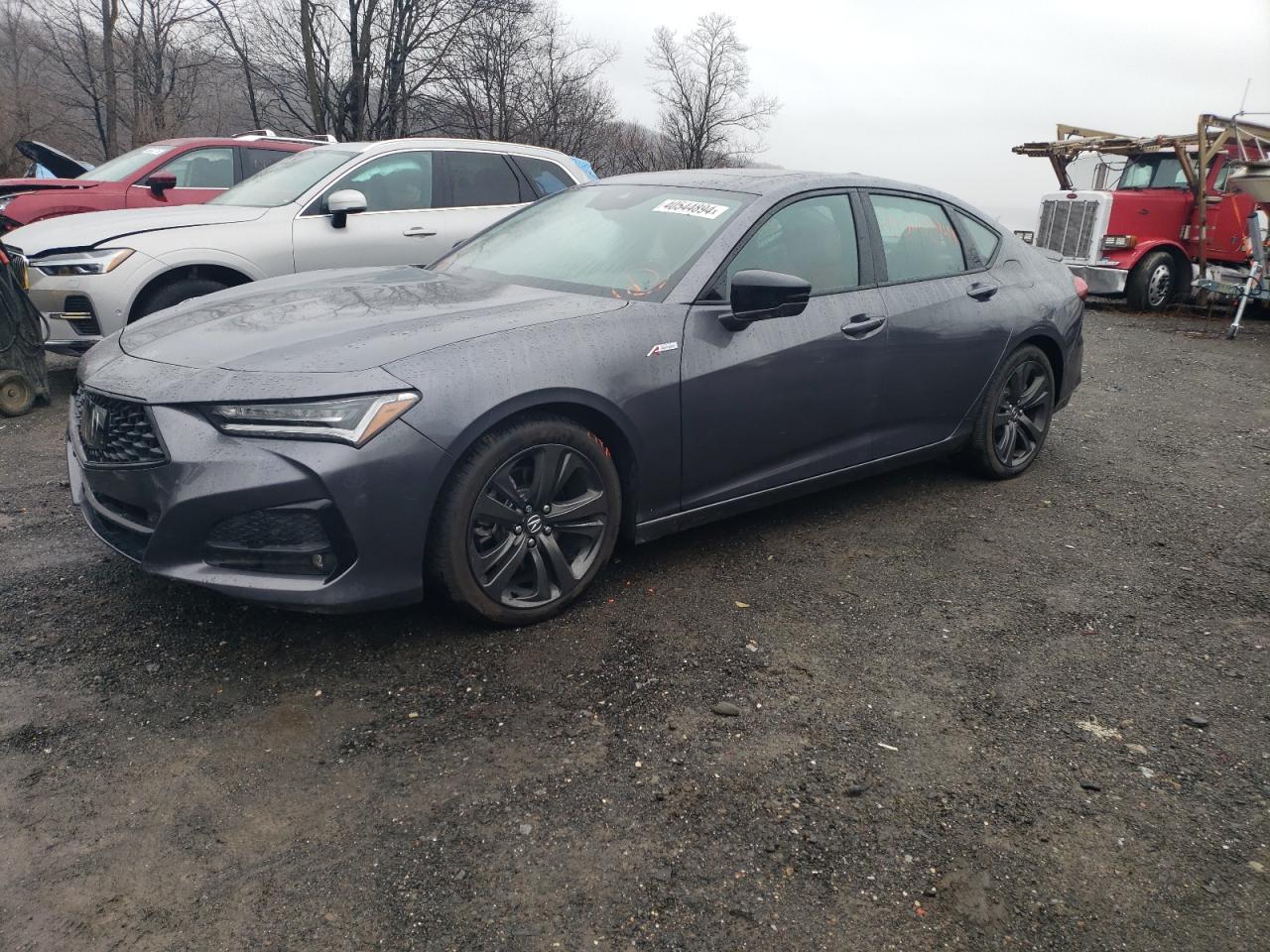 2023 ACURA TLX A-SPEC car image