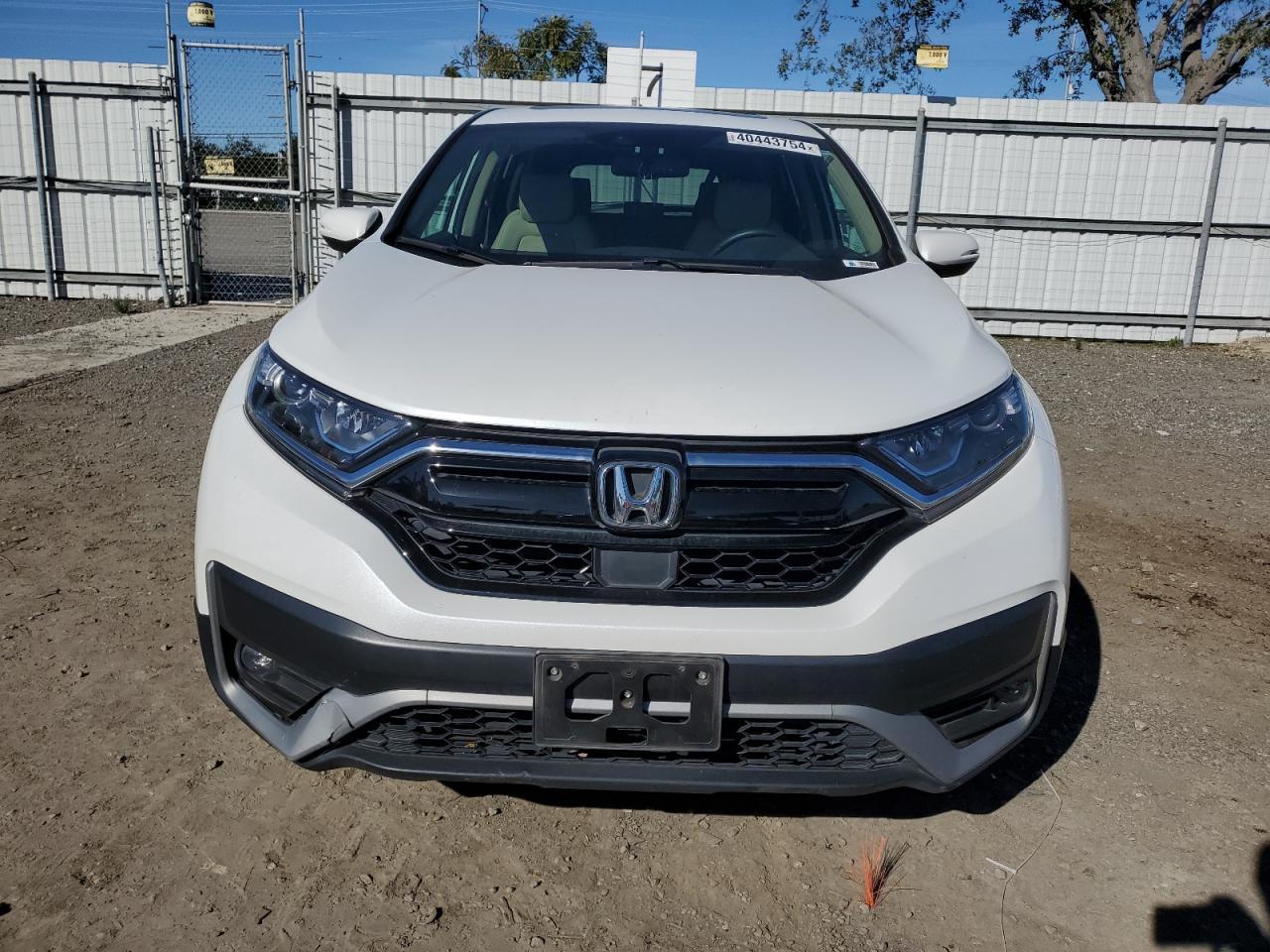 2022 HONDA CR-V EXL - Image 5