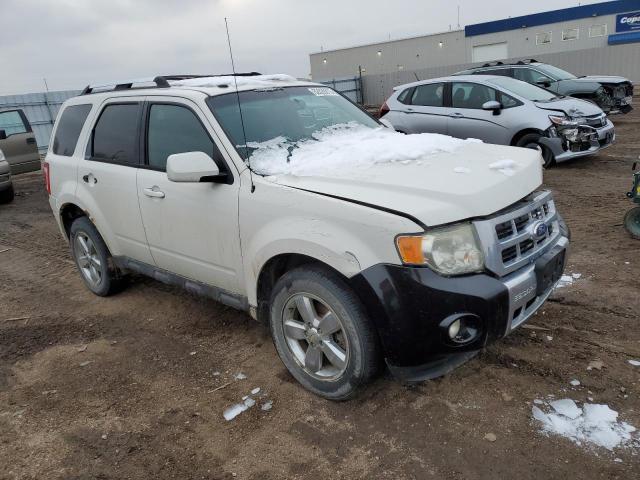 2011 Ford Escape Limited - Image 4
