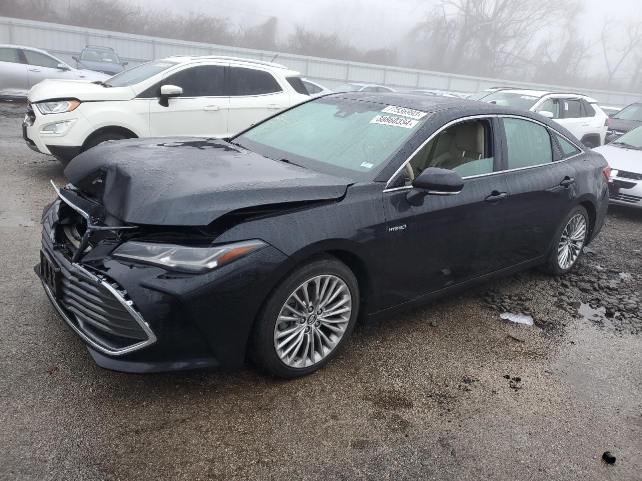 2019 TOYOTA AVALON XLE car image