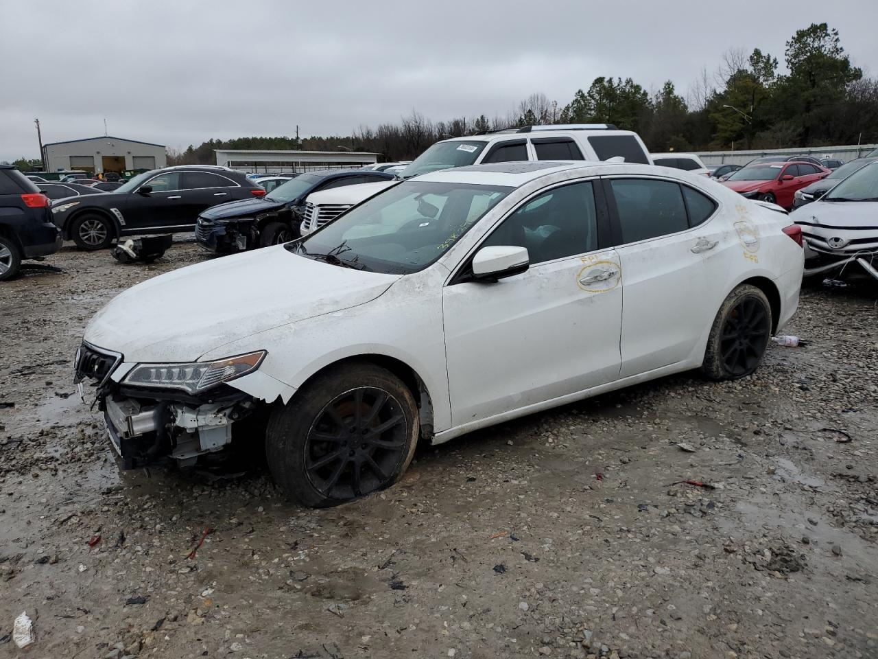 2016 ACURA TLX car image