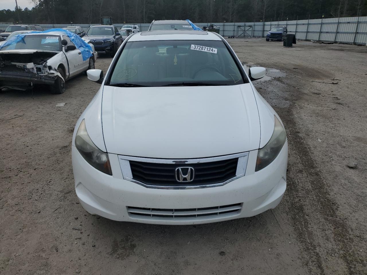 2010 HONDA ACCORD EXL - Image 5