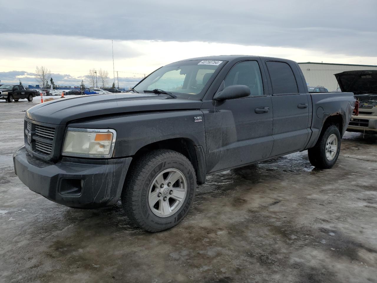 2011 DODGE DAKOTA SLT car image