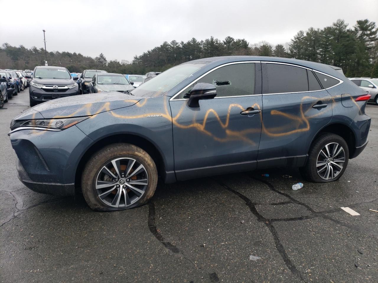 2021 TOYOTA VENZA LE car image