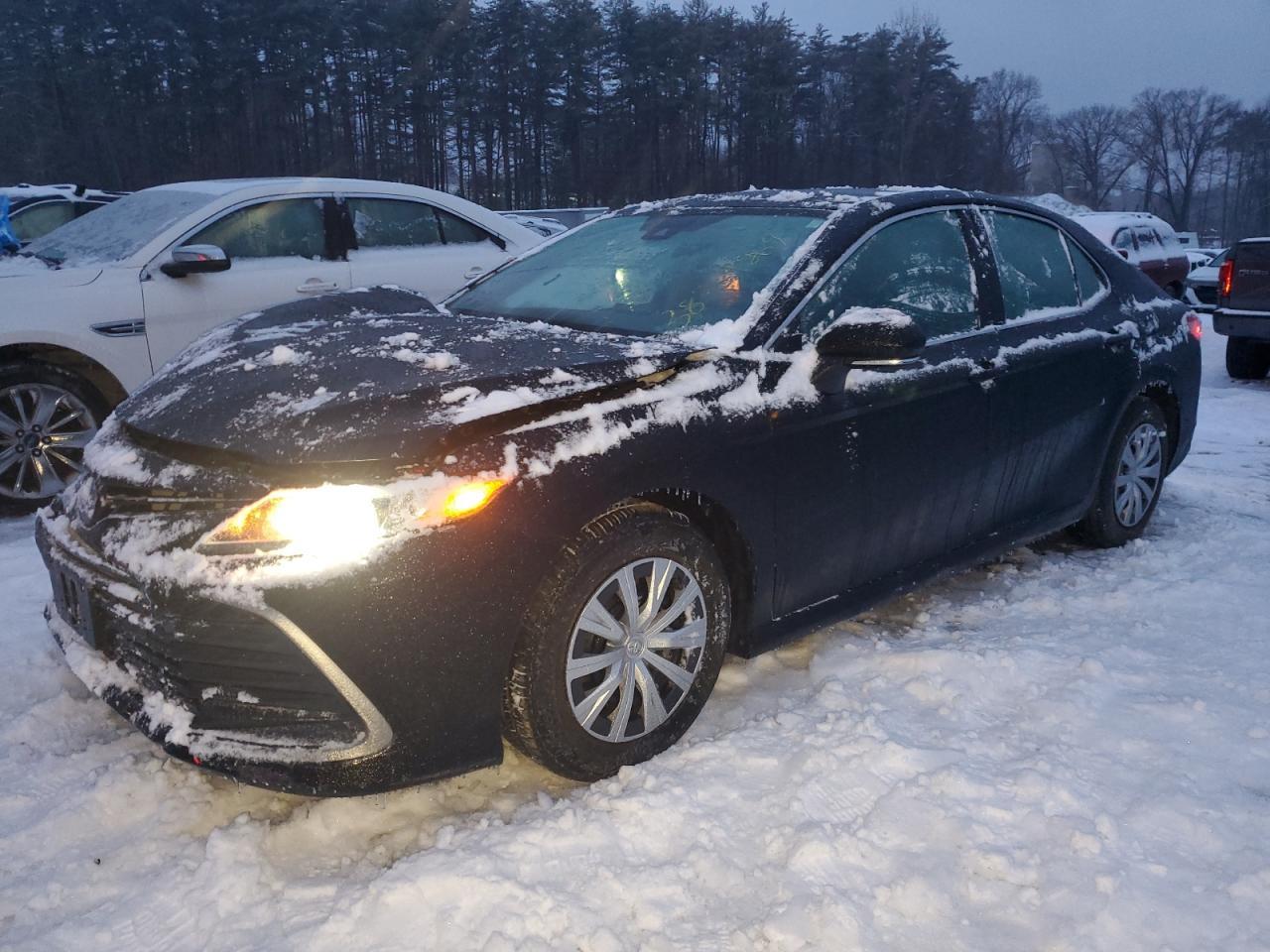 2023 TOYOTA CAMRY LE car image