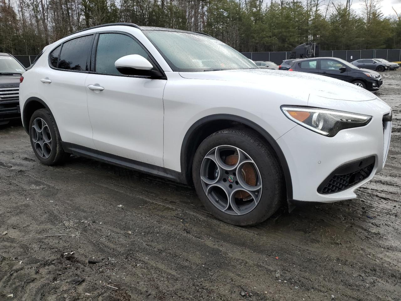 2019 ALFA ROMEO STELVIO TI - Image 4