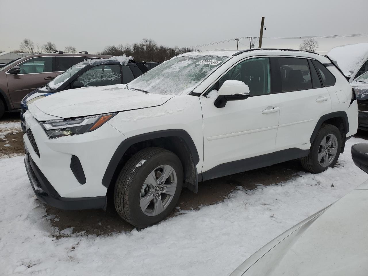 2023 TOYOTA RAV4 XLE car image