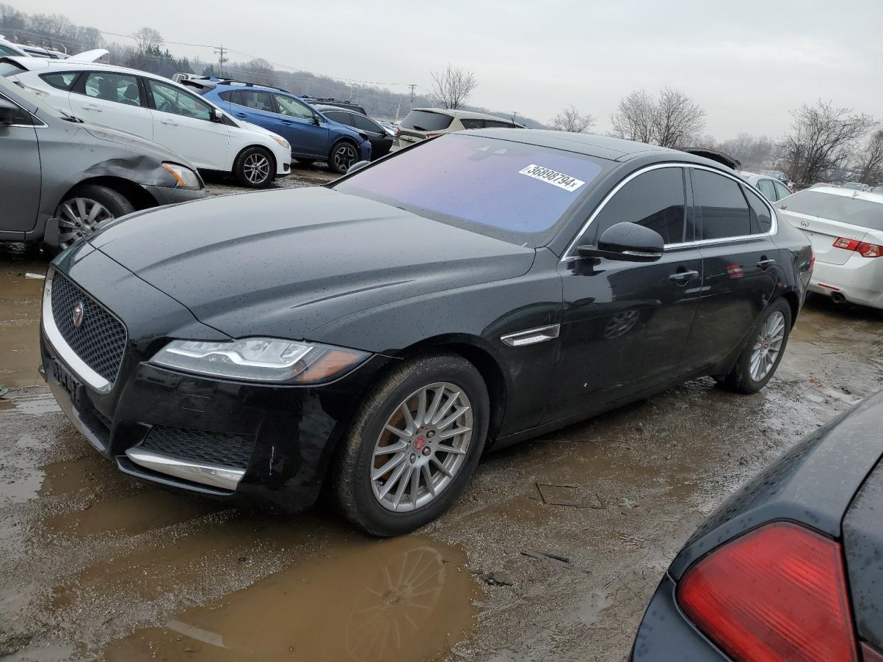 2017 JAGUAR XF PRESTIG car image