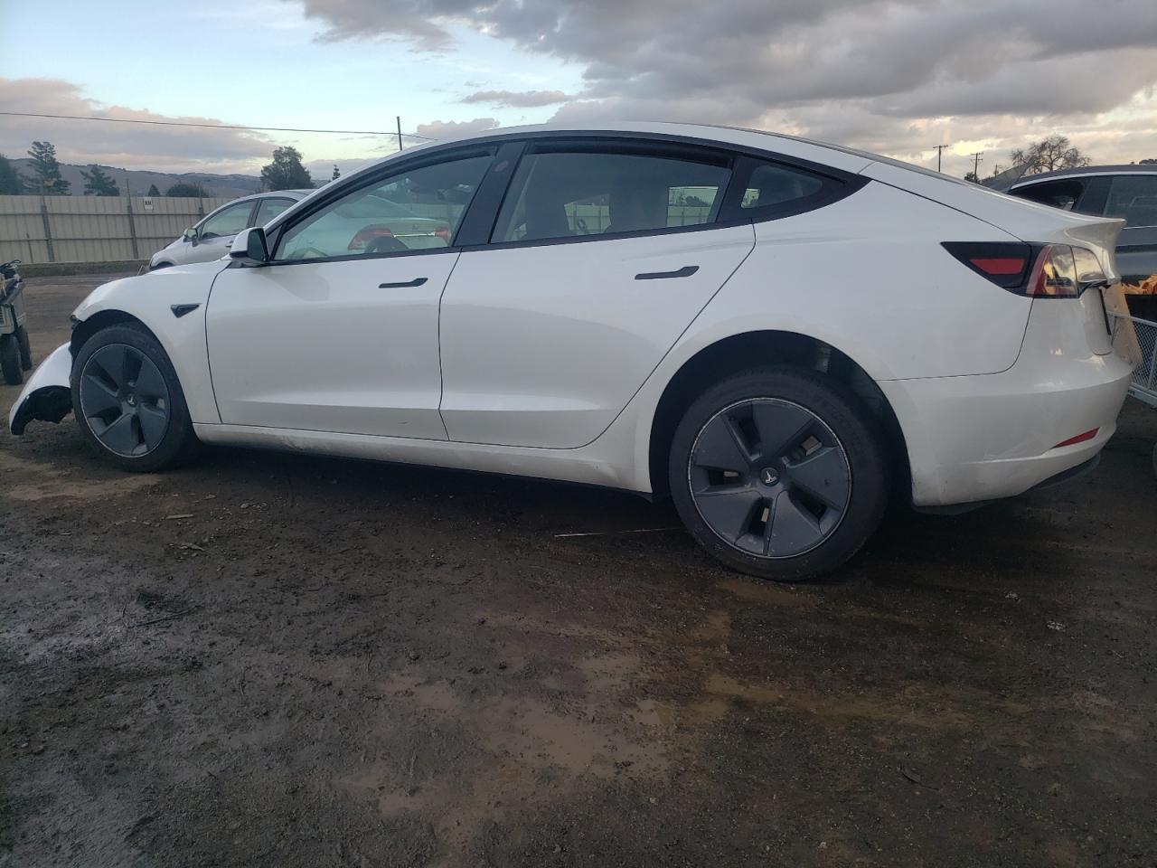2023 TESLA MODEL 3 - Фото 2