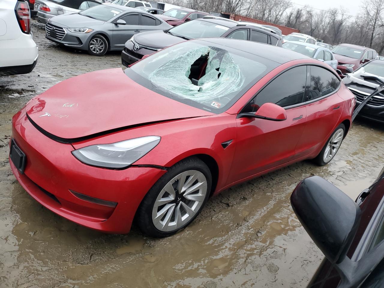 2023 TESLA MODEL 3