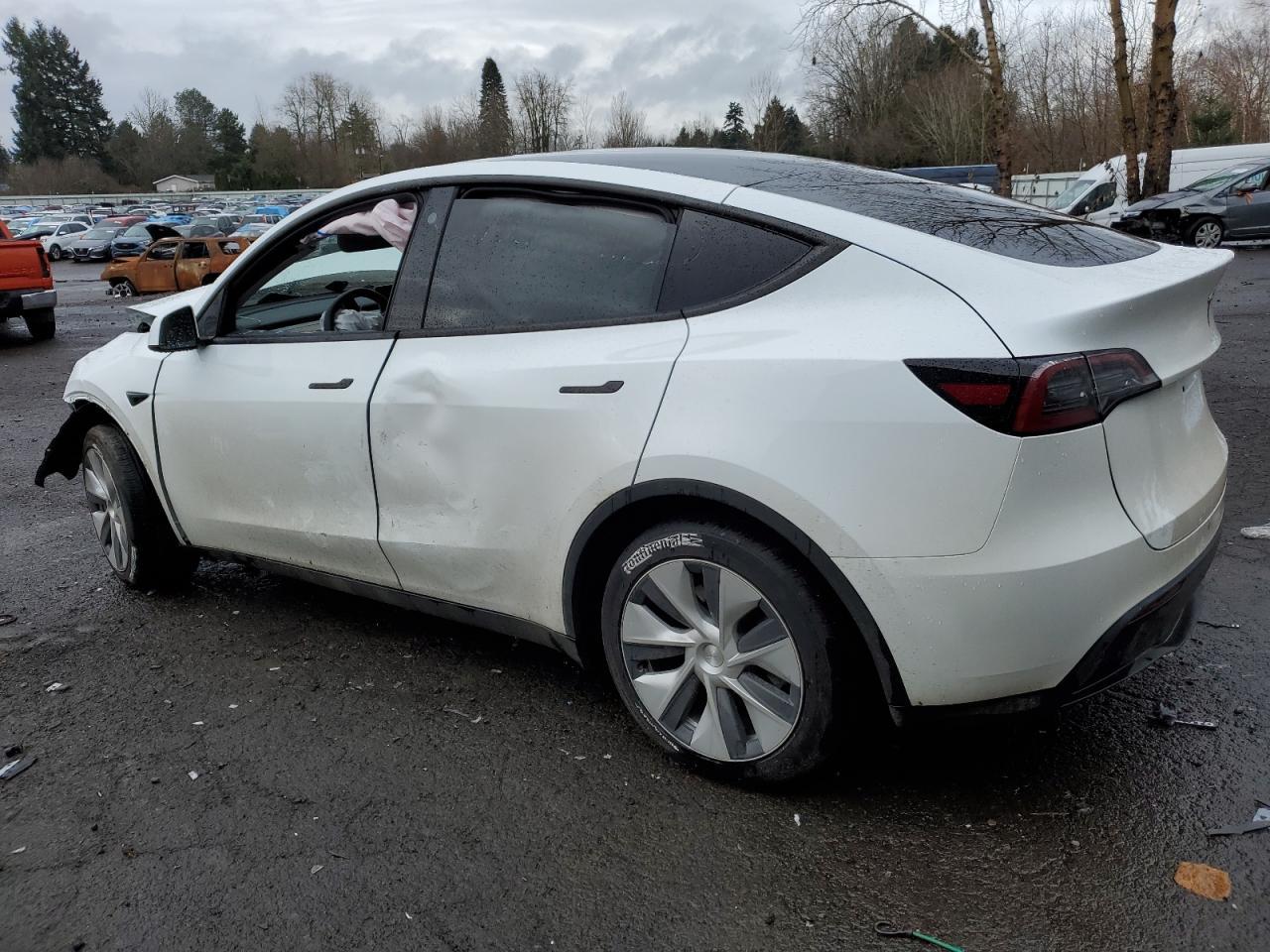 2023 TESLA MODEL Y - Фото 2