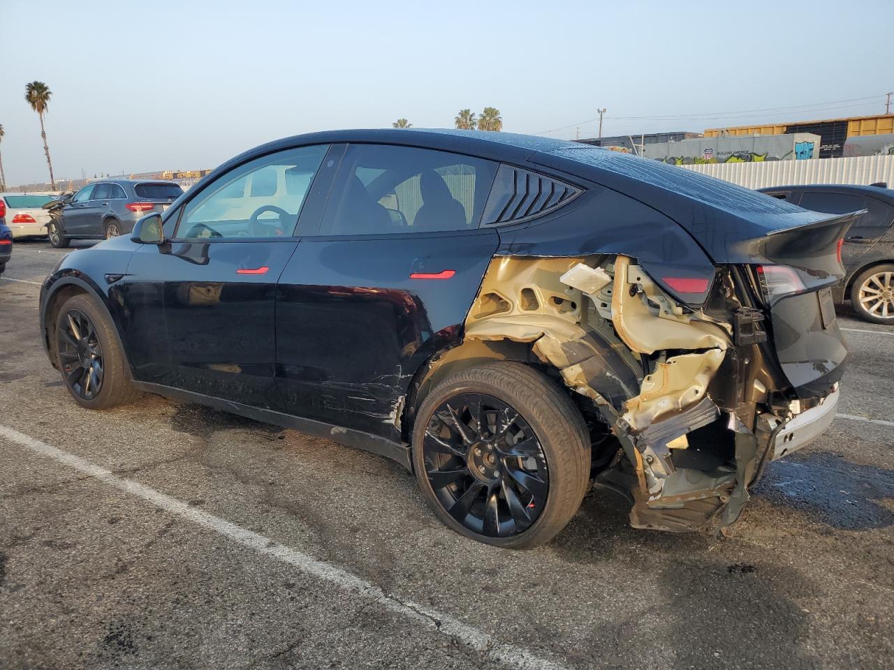 2023 TESLA MODEL Y - Фото 2