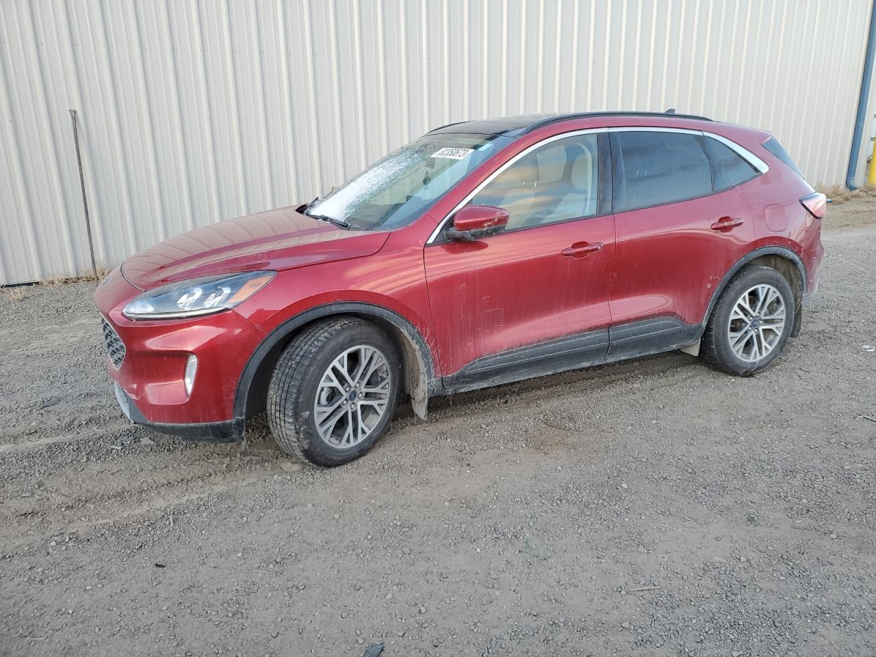 2020 FORD ESCAPE SEL