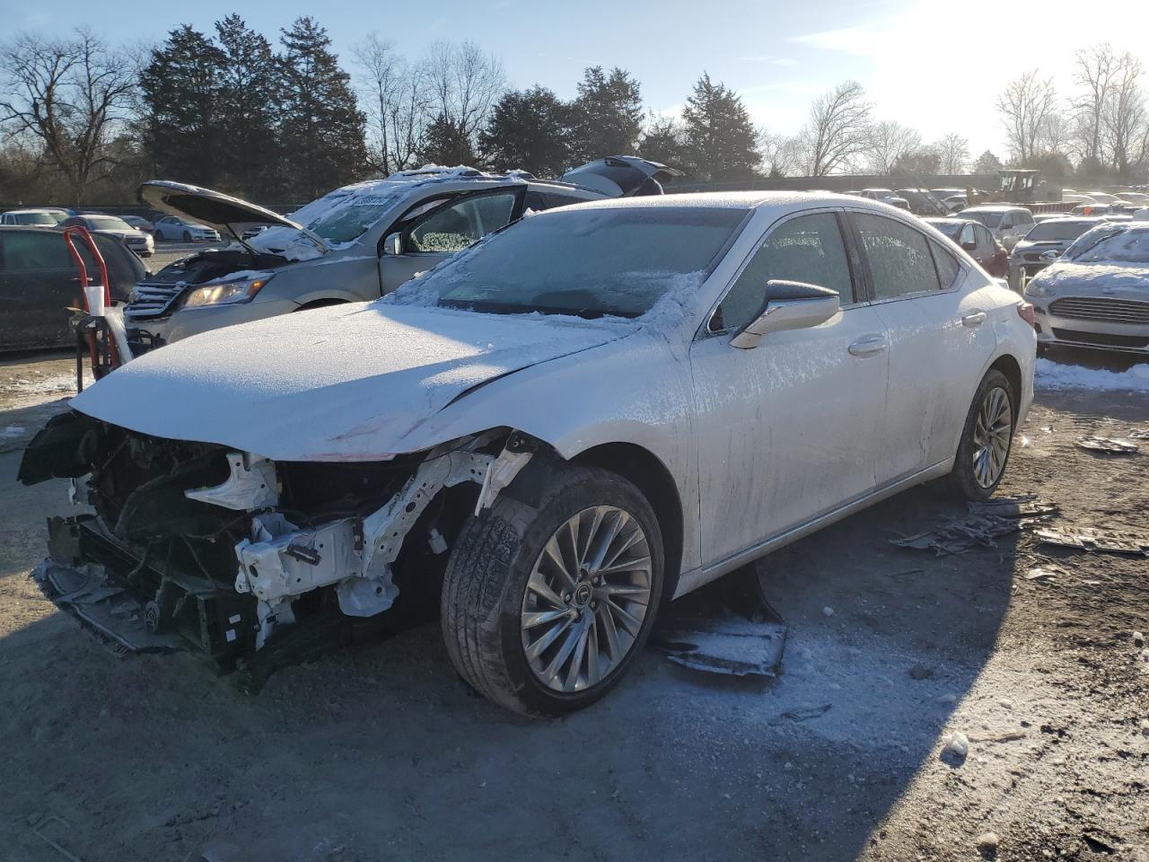 2023 LEXUS ES 300H BA car image