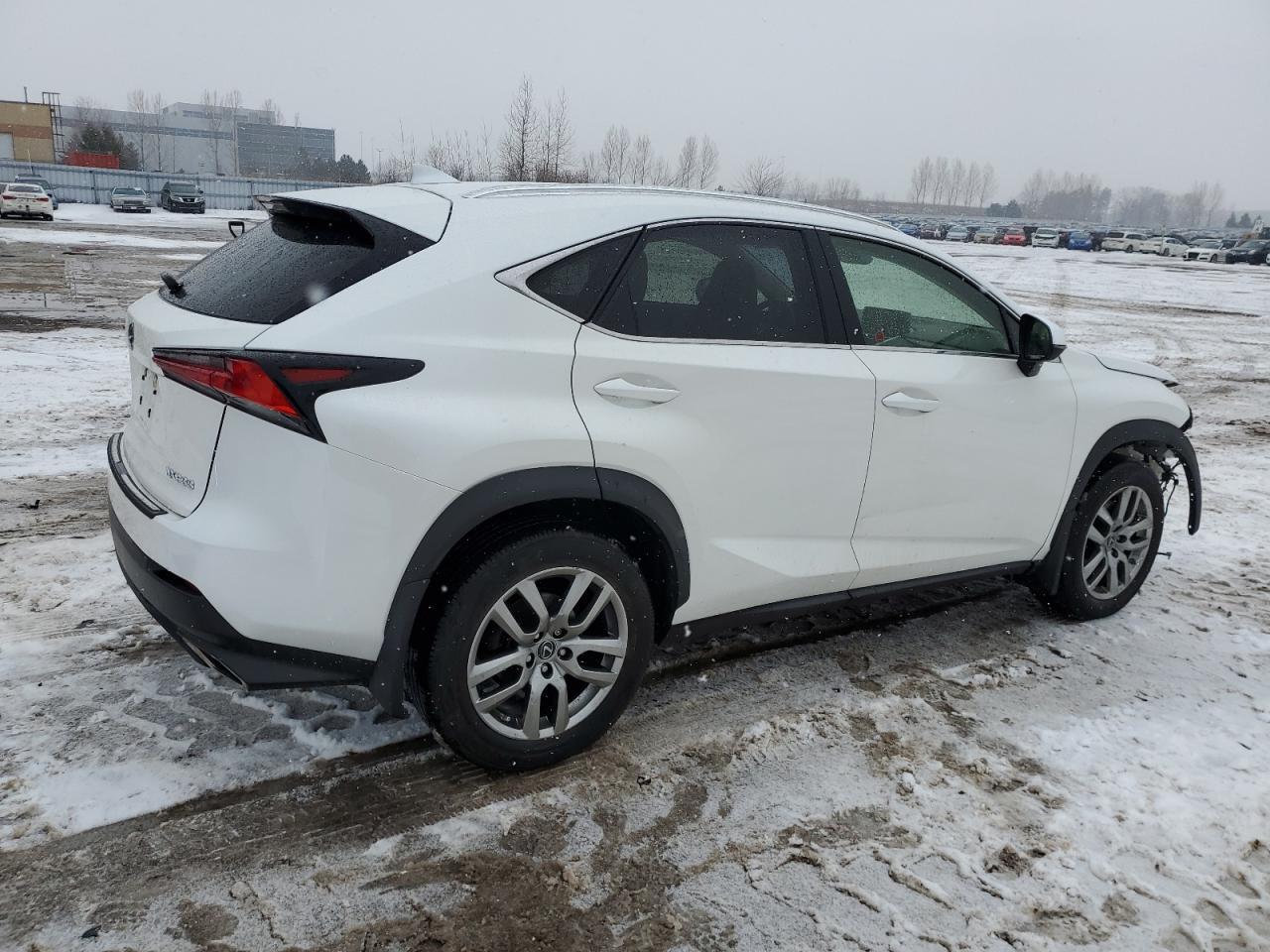 2020 LEXUS NX 300 - Фото 3