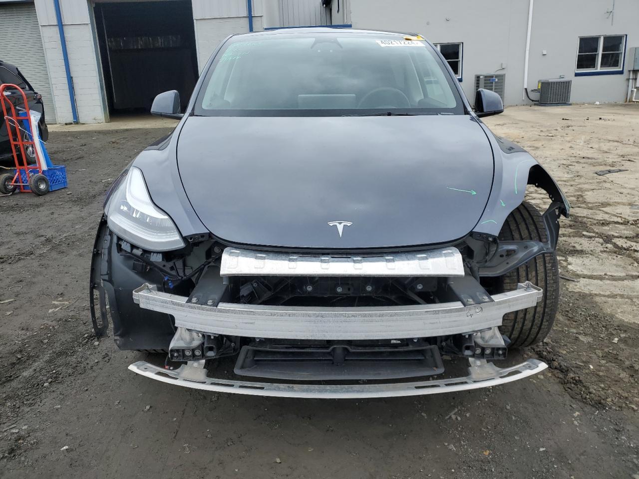 2023 TESLA MODEL Y - Фото 5