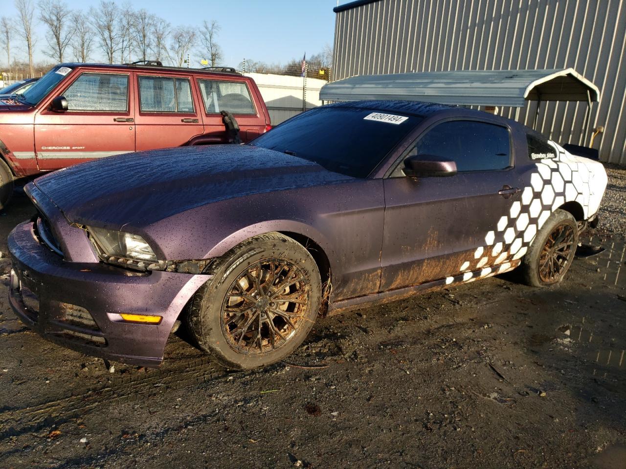 2013 FORD MUSTANG car image