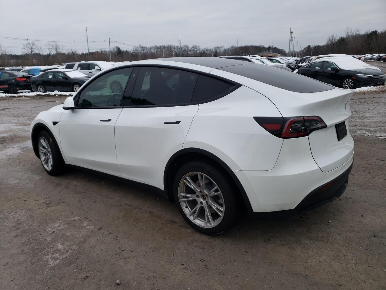 2023 TESLA MODEL Y - Фото 2