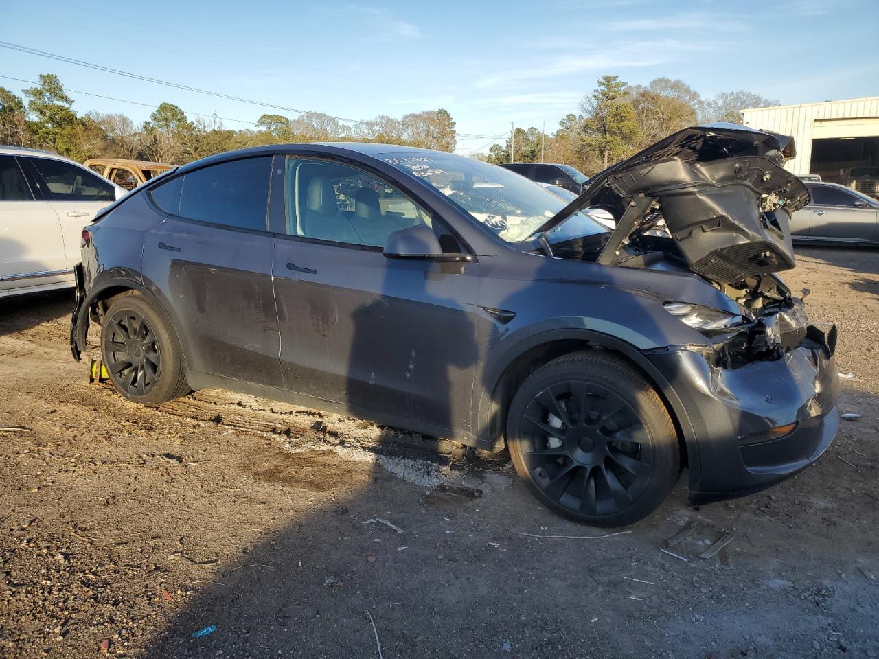 2023 TESLA MODEL Y - Фото 4
