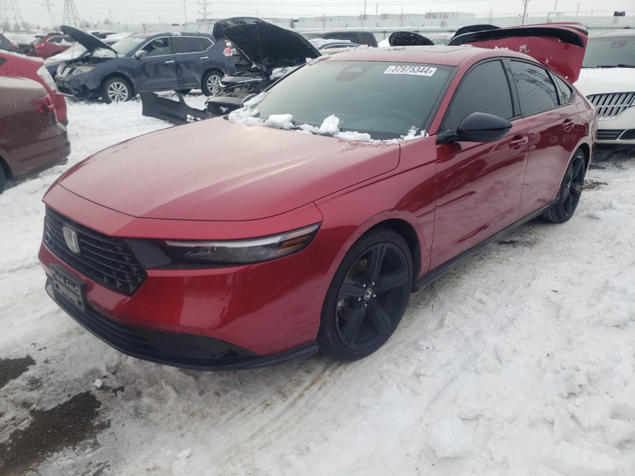 2023 HONDA ACCORD HYB