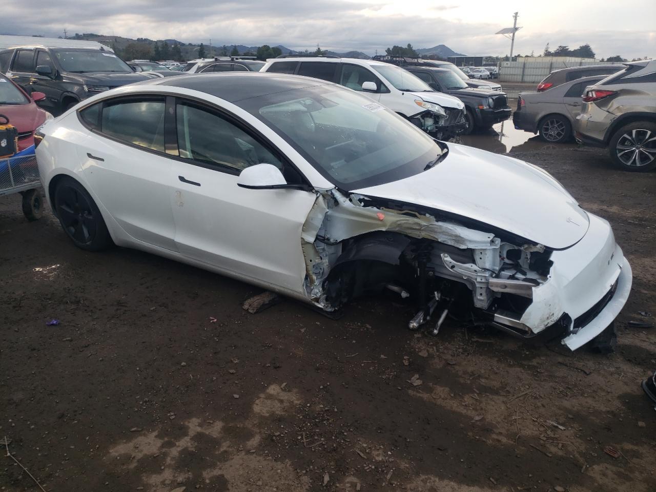 2023 TESLA MODEL 3 - Фото 4