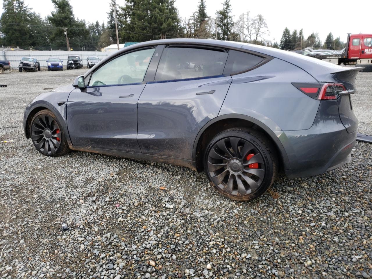 2023 TESLA MODEL Y - Фото 2