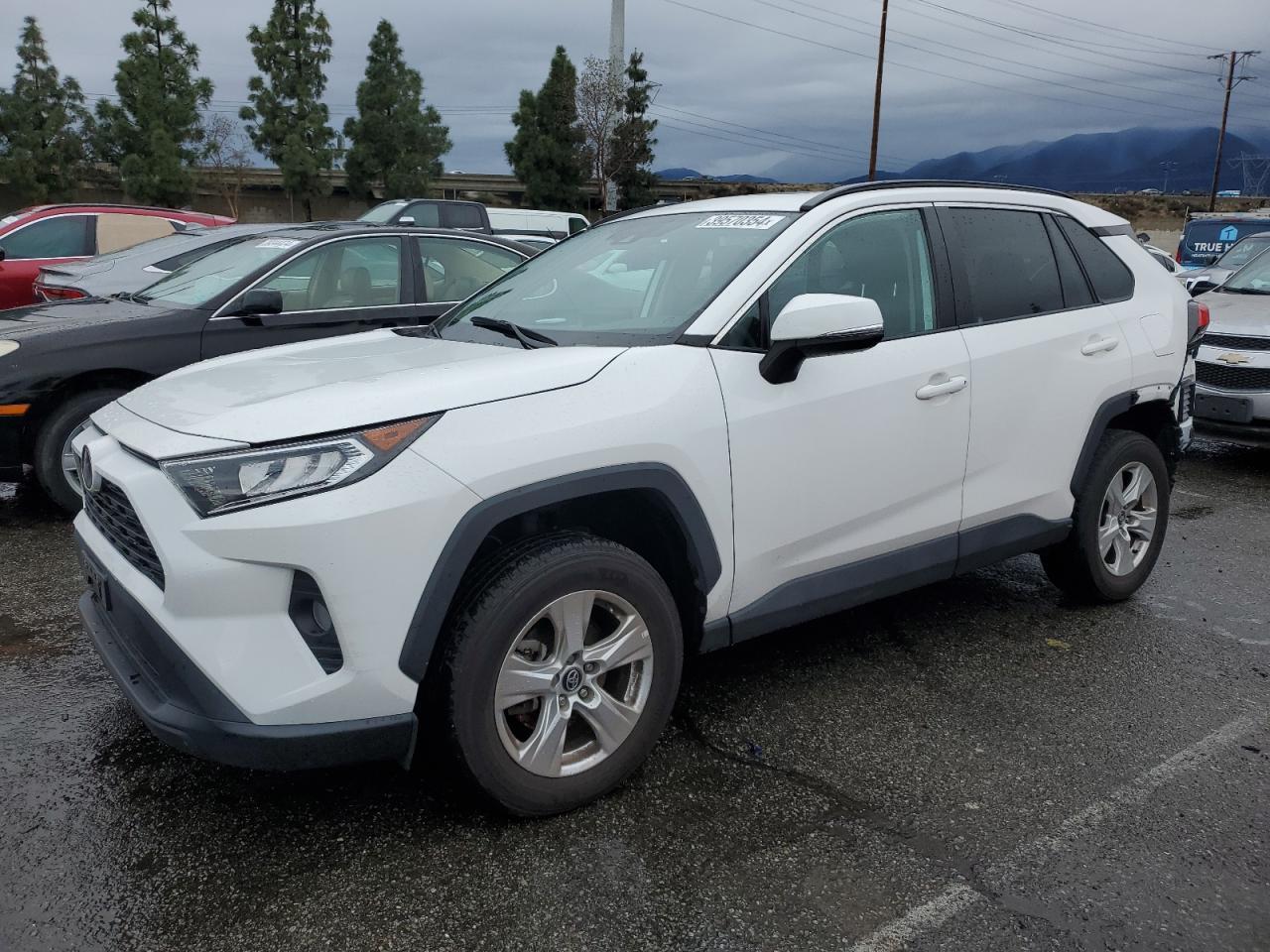 2021 TOYOTA RAV4 XLE car image