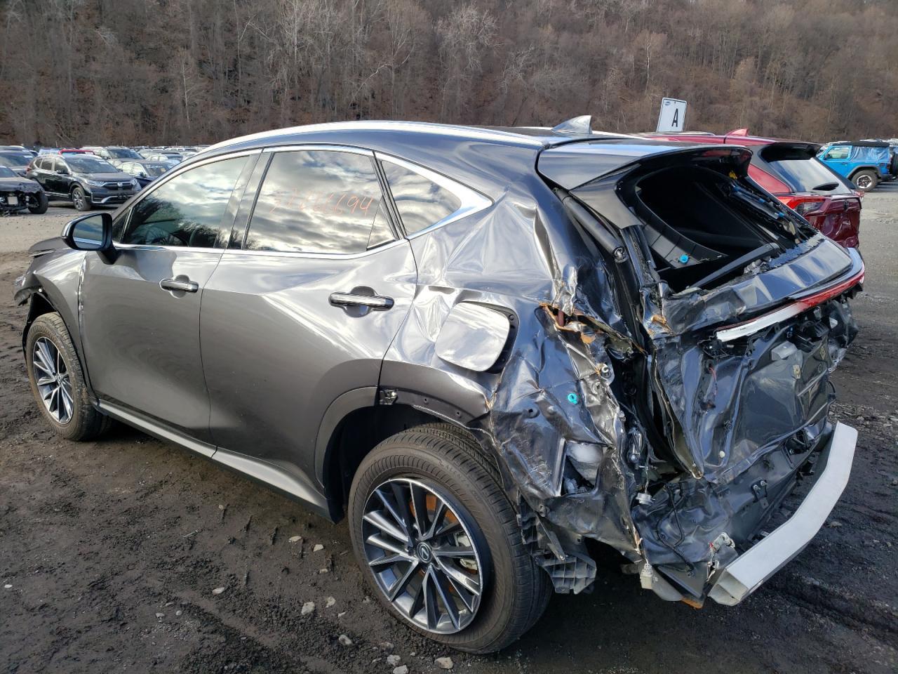 2023 LEXUS NX 350H - Фото 2