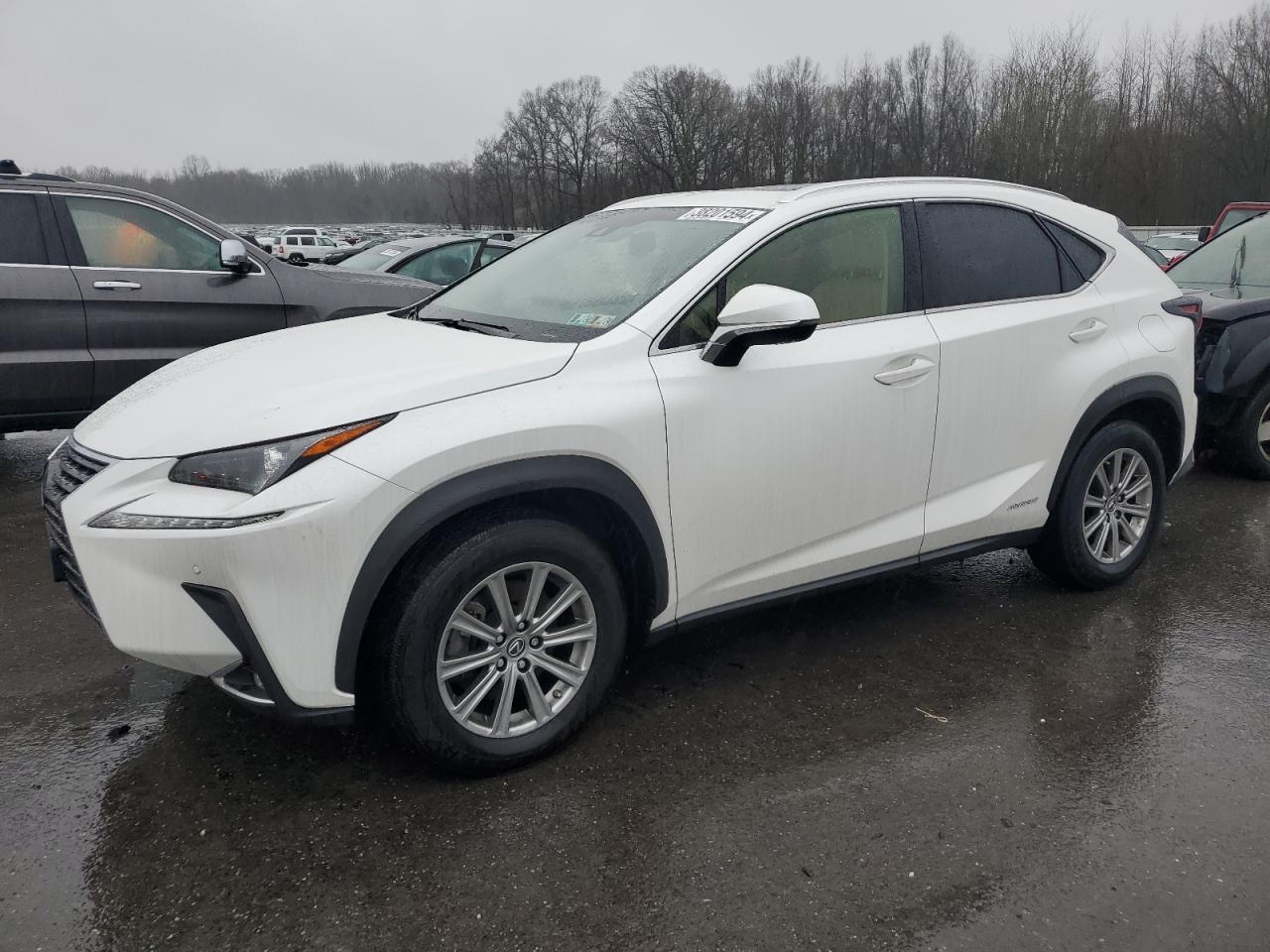 2018 LEXUS NX 300H car image