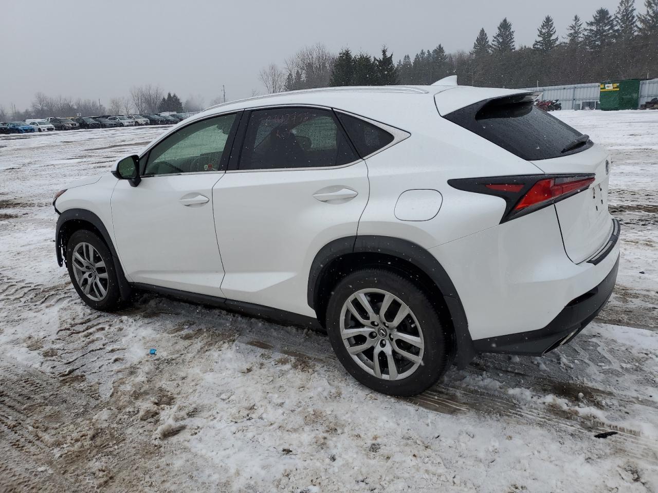 2020 LEXUS NX 300 - Фото 2