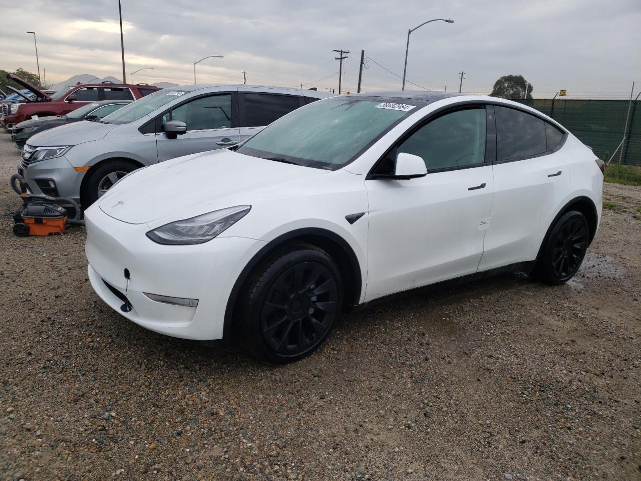 2023 TESLA MODEL Y
