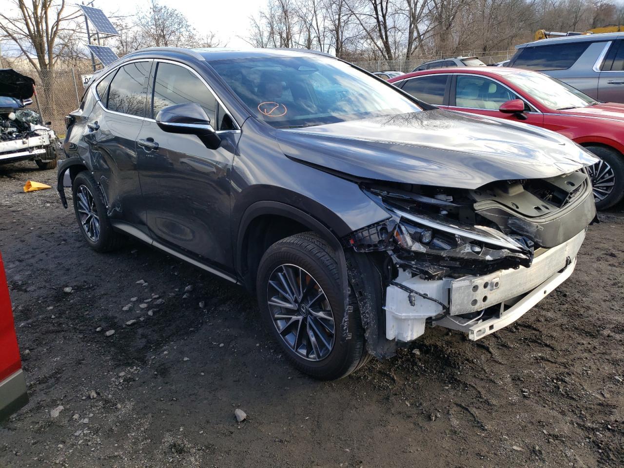 2023 LEXUS NX 350H - Фото 4