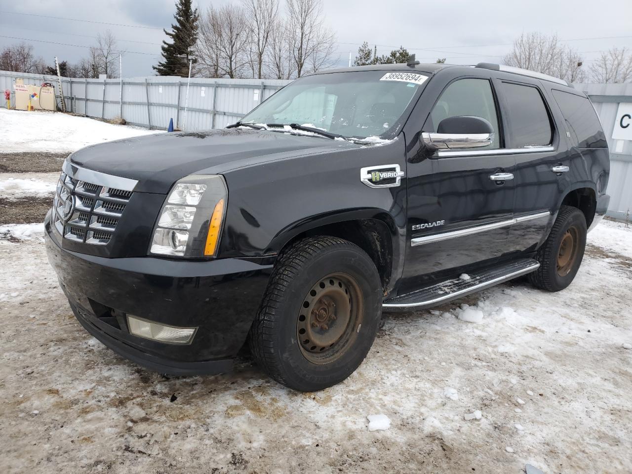 2012 CADILLAC ESCALADE H car image