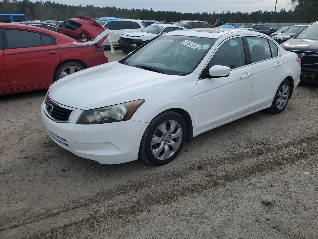 2010 HONDA ACCORD EXL