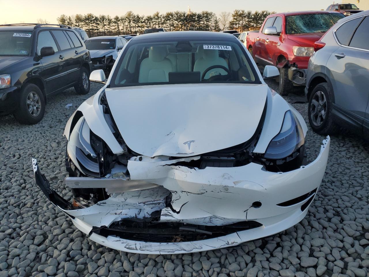 2023 TESLA MODEL 3 - Фото 5