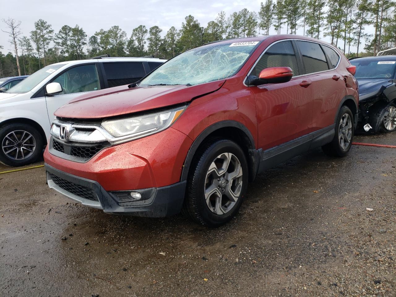 2019 HONDA CR-V EX