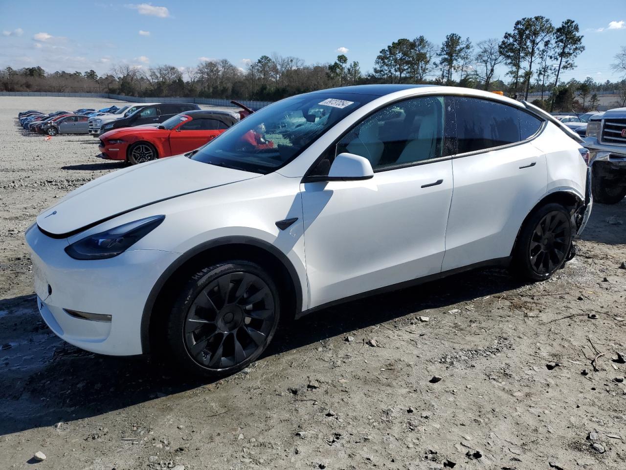 2023 TESLA MODEL Y