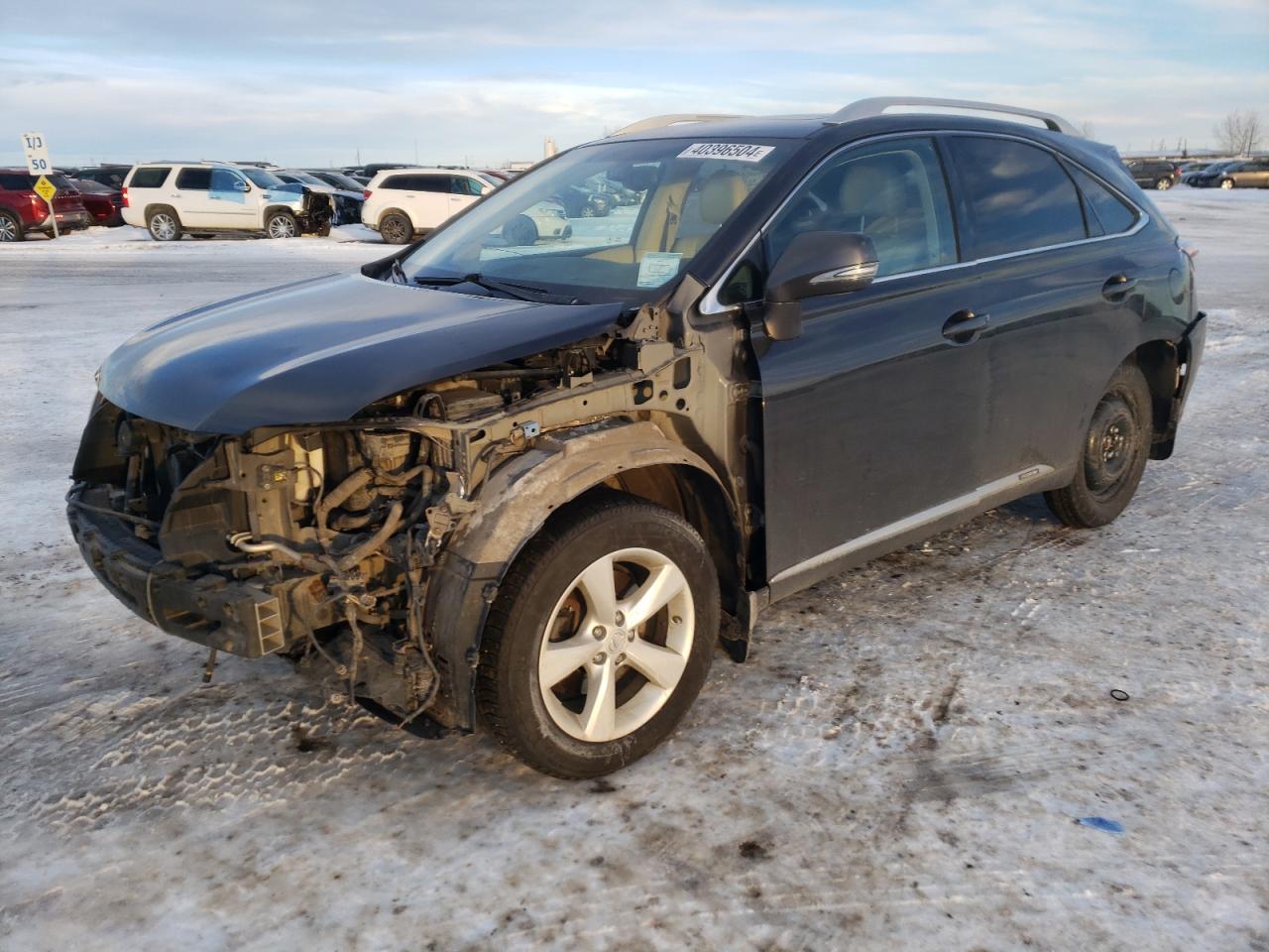 2010 LEXUS RX 450 car image