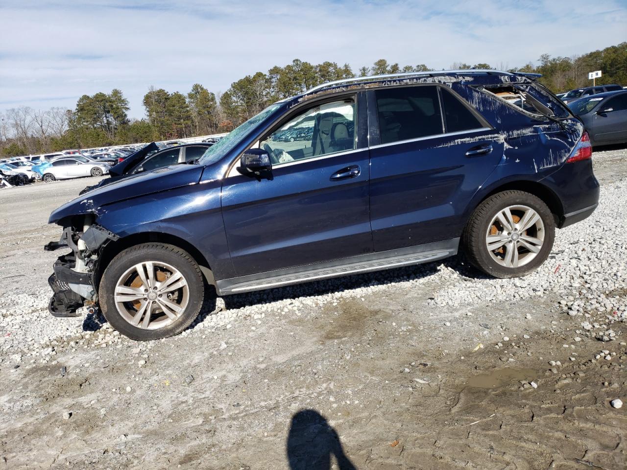 2015 MERCEDES-BENZ ML 250 BLU car image