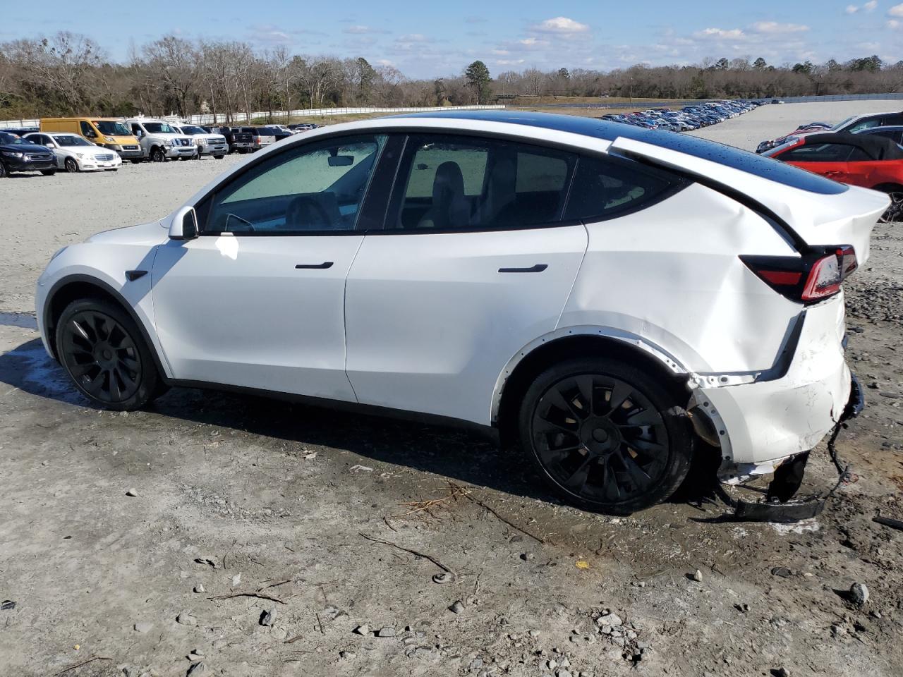 2023 TESLA MODEL Y - Фото 2