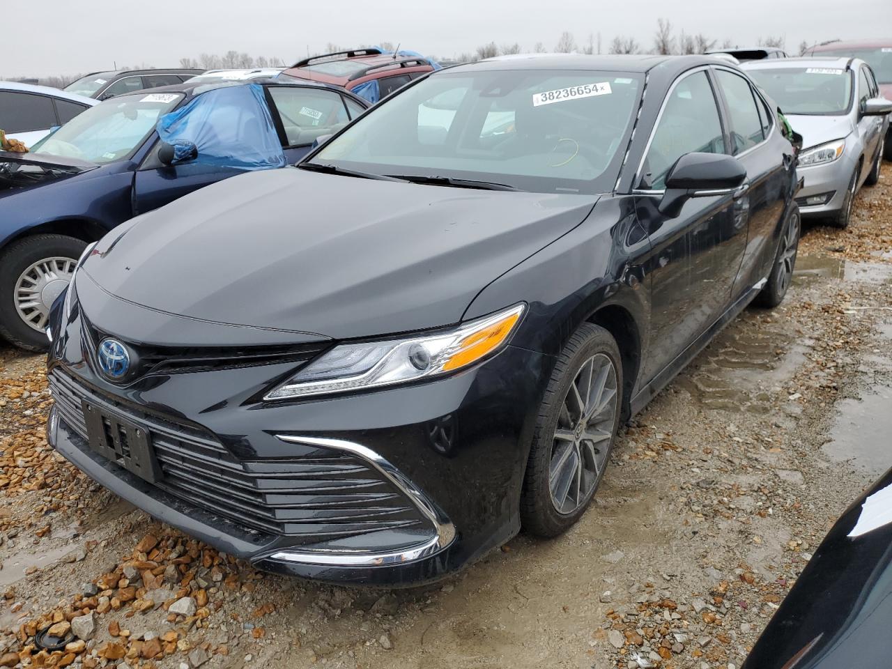 2022 TOYOTA CAMRY XLE car image